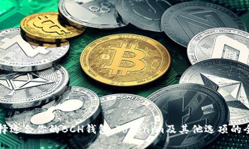 如何选择适合你的BCH钱包：Tokenim及其他选项的全面指南