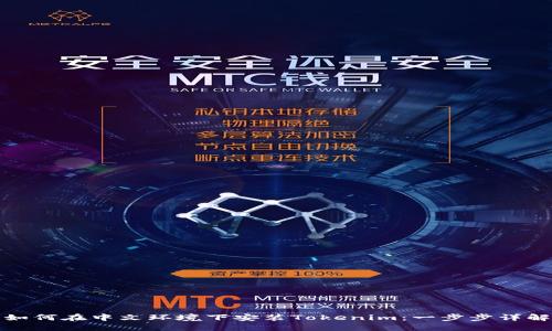 如何在中文环境下安装Tokenim：一步步详解