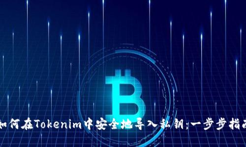 如何在Tokenim中安全地导入私钥：一步步指南