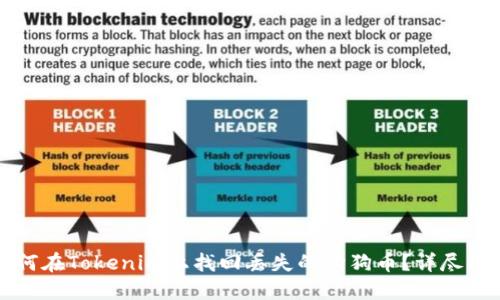 如何在Tokenim上找回丢失的狗狗币？详尽指南