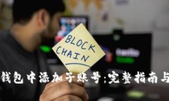 如何在冷钱包中添加子账号：完整指南与最佳实