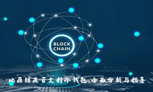 比原链是否支持冷钱包：全面分析与指导