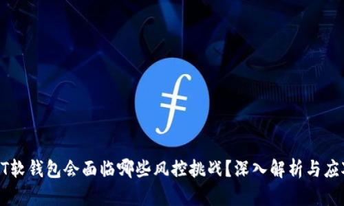 : USDT软钱包会面临哪些风控挑战？深入解析与应对策略
