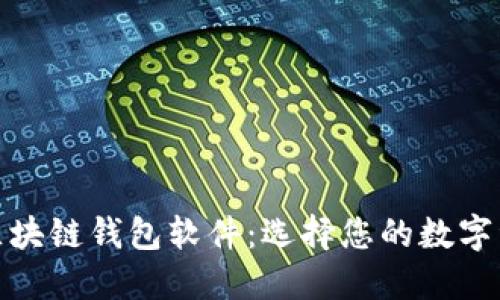 最安全的区块链钱包软件：选择您的数字资产保护者