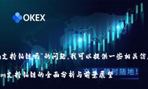 关于“Tokenim支持铂链吗”的问题，我可以提供一些相关信息和背景知识。

### Tokenim支持铂链的全面分析与前景展望