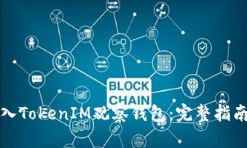 如何导入TokenIM观察钱包：完整指南与技巧