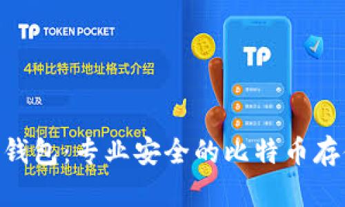 Tokenim冷钱包：专业安全的比特币存储解决方案