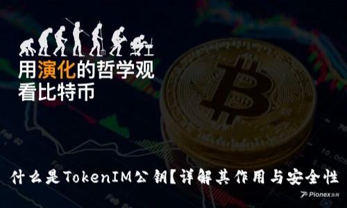 什么是TokenIM公钥？详解其作用与安全性
