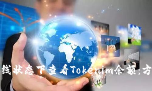 如何在离线状态下查看Tokenim余额：方法和技巧