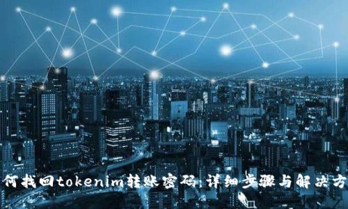 如何找回tokenim转账密码：详细步骤与解决方案