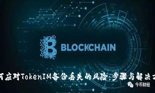如何应对TokenIM备份丢失的风险：步骤与解决方案