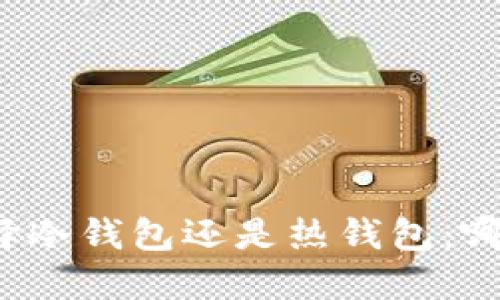TP钱包选择冷钱包还是热钱包：哪个更安全？
