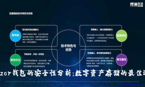 Trezor钱包的安全性分析：数字资产存储的最佳选择