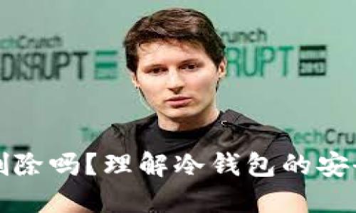 冷钱包记录能删除吗？理解冷钱包的安全性与数据管理