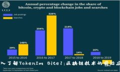 深入了解TokenIm Bite1：区块