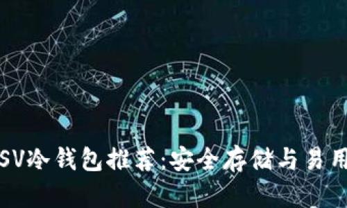 2023年最佳BSV冷钱包推荐：安全存储与易用性的完美结合