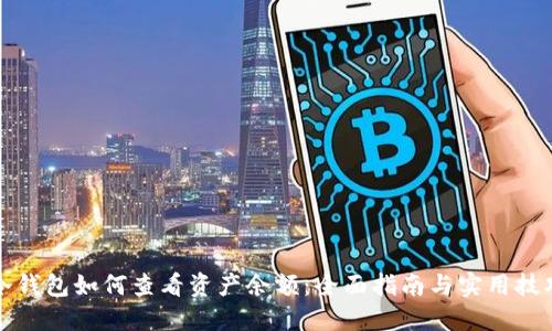 冷钱包如何查看资产余额：全面指南与实用技巧