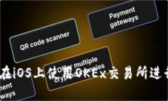 全面解析：如何在iOS上使