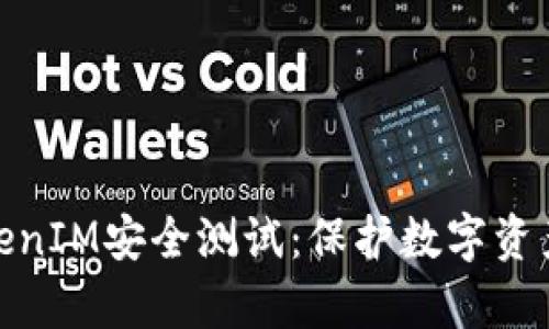 全面解析TokenIM安全测试：保护数字资产的关键步骤