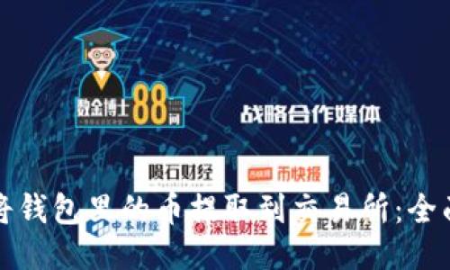 如何将钱包里的币提取到交易所：全面指南