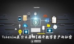 Tokenim是什么原理？揭开数