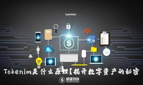 Tokenim是什么原理？揭开数字资产的秘密