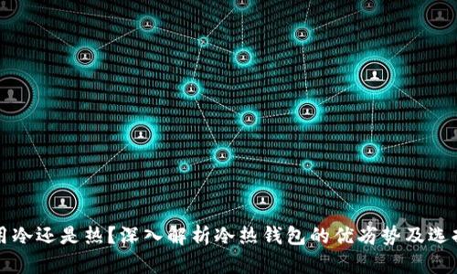 钱包用冷还是热？深入解析冷热钱包的优劣势及选择指南