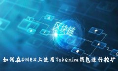 如何在DMEX上使用Tokenim钱包