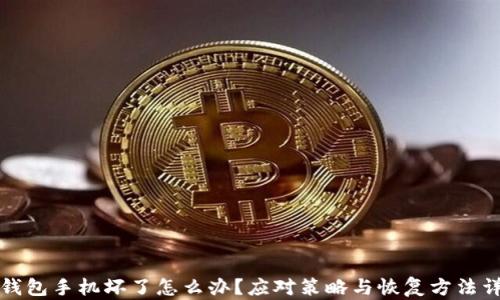 
冷钱包手机坏了怎么办？应对策略与恢复方法详解