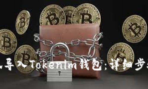 如何将小怪狐导入Tokenim钱包：详细步骤与注意事项