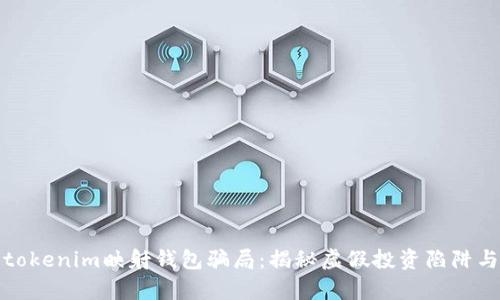 深入解析tokenim映射钱包骗局：揭秘虚假投资陷阱与防范措施