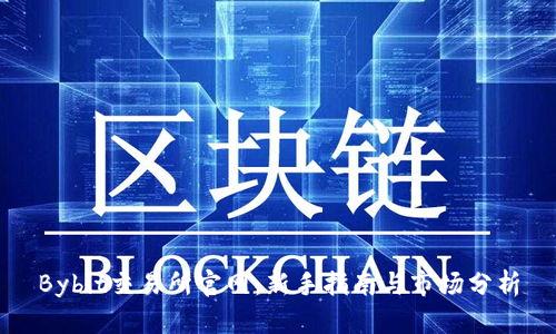 Bybit交易所官网：新手指南与市场分析