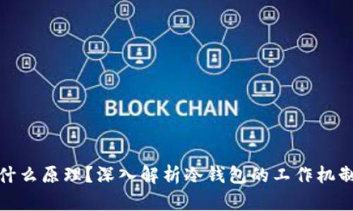 冷钱包是什么原理？深入解析冷钱包的工作机制与安全性
