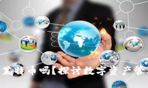 及关键词如下：

Tokenim能放置莱特币吗？探讨数字资产管理平台的多样性