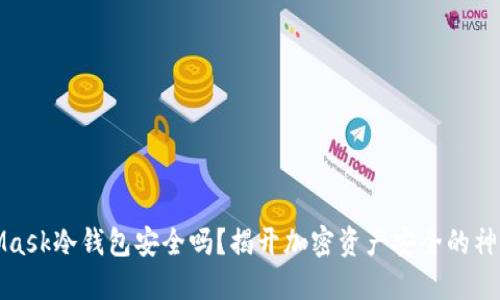MetaMask冷钱包安全吗？揭开加密资产安全的神秘面纱