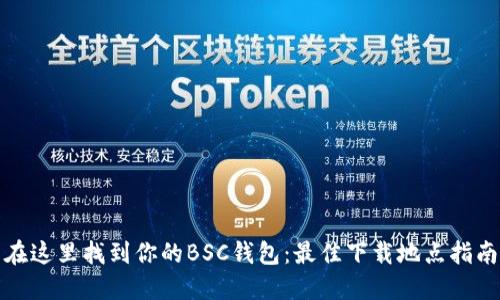 在这里找到你的BSC钱包：最佳下载地点指南