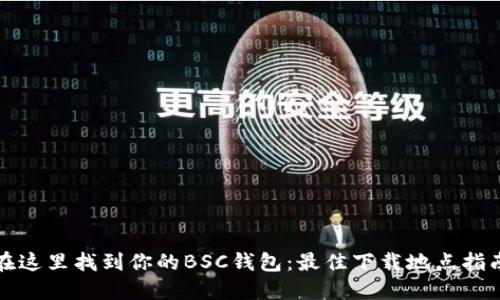 在这里找到你的BSC钱包：最佳下载地点指南