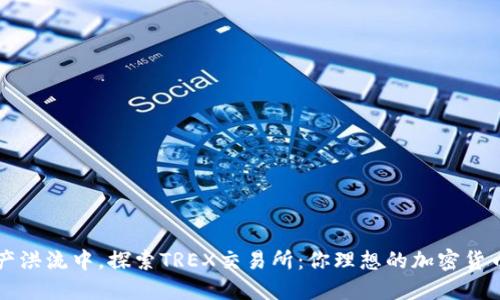 在数字资产洪流中，探索TREX交易所：你理想的加密货币交易平台
