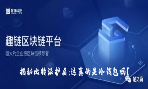 揭秘比特派护盾：这真的是冷钱包吗？