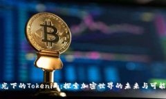“阳光下的Tokenim：探索加