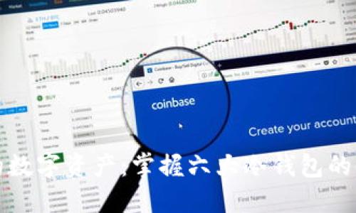 保护你的数字资产：掌握六大冷钱包的使用技巧