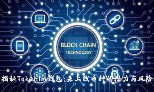 揭秘Tokenim钱包：未上线币种的潜力与风险