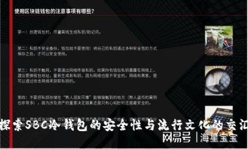 探索SBC冷钱包的安全性与流行文化的交汇