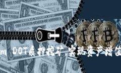 如何Tokenim DOT质押挖矿，实