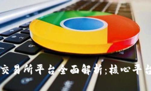 中国虚拟币交易所平台全面解析：核心平台与市场动态