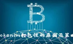 Tokenim打包慢的原因及策略