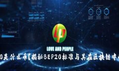 BEP20是什么币？揭秘BEP20标