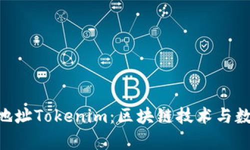 深入分析BTC地址Tokenim：区块链技术与数字资产的未来