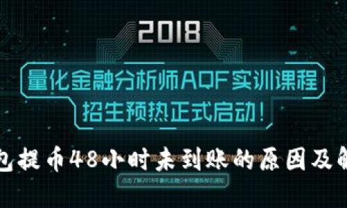 TP冷钱包提币48小时未到账的原因及解决方案