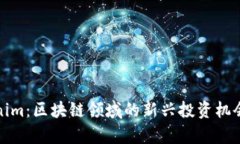 Tokenim：区块链领域的新兴投资机会解析